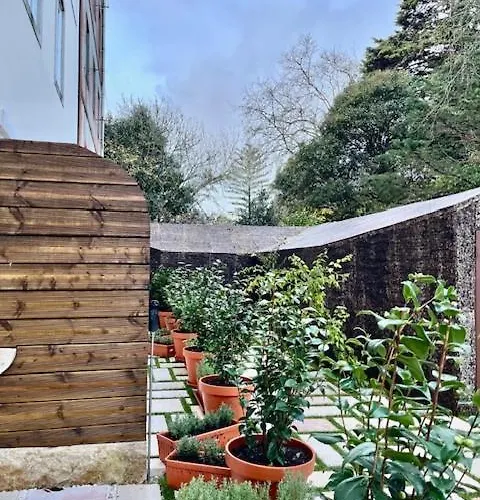 Passeio Collection-soft Opening Hotel 4*